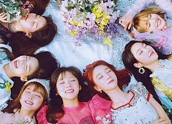 Sau sự cố Jiho ngã gục trên sân khấu, concert sắp tới của Oh My Girl chính thức bị 'đình chỉ'