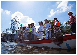 Tour du lịch "câu" rác thải nhựa hút khách tại Hà Lan