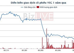 YEG tăng trần 2 phiên liên tiếp sau thông báo mua vào, Chủ tịch Yeah1 điều chỉnh giảm số cổ phiếu đăng ký