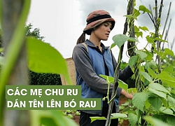 Iem Gõh - Khi các mẹ Chu Ru dán tên mình lên bó rau hữu cơ