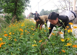 Có nông thôn mới khi lòng dân đồng thuận