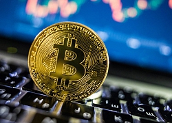 Giá bitcoin hôm nay 30/9: Thị trường tiếp tục phủ sắc đỏ