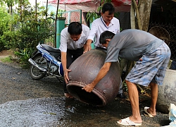 Lo sốt xuất huyết phức tạp thêm