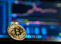 Bitcoin thất bại hay đang dần trở nên mạnh mẽ?