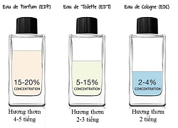Các mẹo chọn nước hoa cho chồng mà vợ đảm cần biết