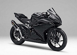 Honda CBR300RR lộ diện gây xôn xao - đối thủ của R3 và Ninja 400