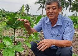 Chuyện lạ Trà Vinh: Một nghề thì sống, đống nghề thành tỷ phú