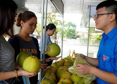 Thanh niên Hà Tĩnh bán bưởi Phúc Trạch giúp dân vùng lũ