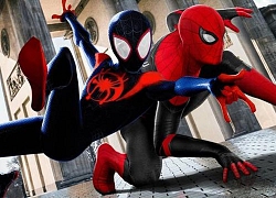 Tom Holland muốn &#8217;song kiếm hợp bích&#8217; với Miles Morales trên màn ảnh rộng!