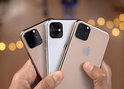 3 camera, cấu hình mạnh, sạc ngược &#8211; iPhone 2019 có gì đáng chờ đợi?