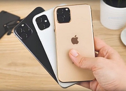 Để là người đầu tiên sở hữu iPhone 11 ở Việt Nam, anh em sẽ phải chi khoảng 100 triệu đồng