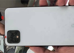 Google Pixel 4 XL tiếp tục lộ ảnh thực tế với cụm camera hình vuông độc đáo