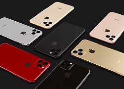 Hội chứng "sợ lỗ" nghiêm trọng tới mức nào mà camera mới của iPhone 11 khiến nhiều người giật mình đến thế