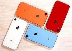 Không được ưa chuộng tại Việt Nam, tại sao iPhone XR vẫn gây sốt trên toàn cầu?