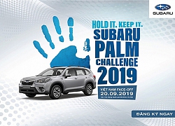 Subaru Palm Challenge 2019 sắp diễn ra tại Hà Nội