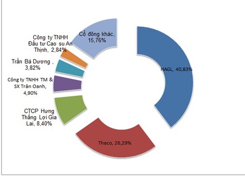 Thể trạng HAG và HNG sau một năm được Thaco bơm hơn 1 tỷ USD ra sao?