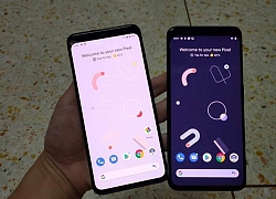 Nhiều hình ảnh của Pixel 4 XL xuất hiện thực tế trên tay người dùng