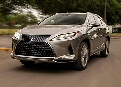 Lexus RX 350 2020 tăng giá bán với nhiều trang bị mới