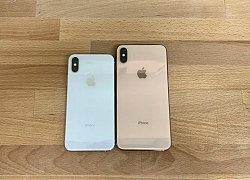 Apple tuyên bố ngừng sản xuất iPhone XS và XS Max, chỉ kinh doanh 5 mẫu iPhone