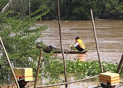 Bơi xuồng đi tìm con chữ