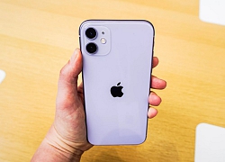 Hét giá iPhone 11 quá cao, Apple gặp khó tại Trung Quốc