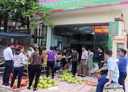 Hỗ trợ dân tiêu thụ bưởi Phúc Trạch sau lũ