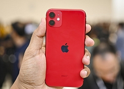 iPhone 11 khi nào về Việt Nam?