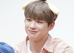 Kang Daniel làm fan thất vọng khi thật thà chia sẻ mình xấu hổ với fanchant