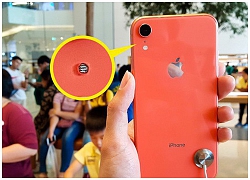 Lỗ nhỏ gần camera sau iPhone XR và các chi tiết quan trọng dù chẳng ai để ý