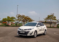 Ngoài Vios, đa phần các dòng xe của Toyota đều giảm doanh số trong tháng 8-2019