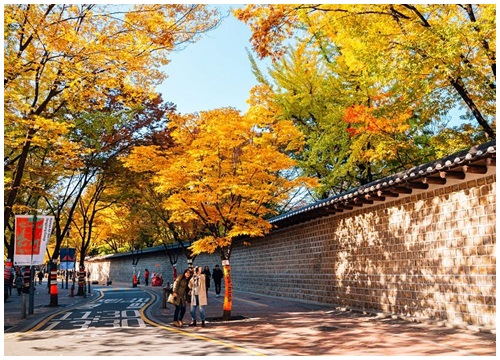 Những con đường ngập tràn cảnh sắc mùa thu ở Seoul