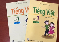 SGK công nghệ bị loại: GS Hồ Ngọc Đại cũng nên...