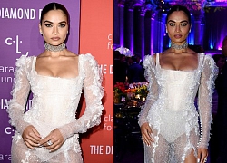 Shanina Shaik bốc lửa với váy ren xuyên thấu