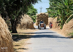 Tìm về một chút 'trong lành' qua bộ ảnh bình minh 'xứ dừa' của chàng trai trẻ miền Tây