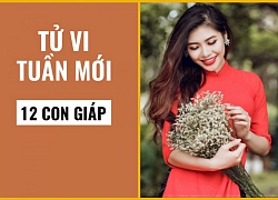 Tử vi tuần mới (từ 16/9 đến 22/9/2019) của 12 con giáp: Hợi có điềm báo hoạ thị phi, Ngọ gặp được vận may