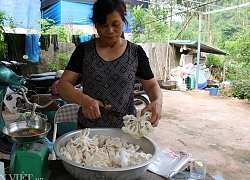 Xắn tay áo "lao" vào trồng nấm mọc tua tủa, thu 30 triệu/tháng