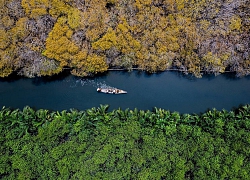 Nét thu trong rừng Rú Chá