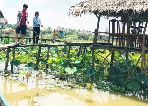 Đồng Tháp: Mùa nước nổi đến Đồng Sen câu cá chốt, câu cá rô đồng