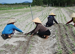 Hà Tĩnh đề nghị Trung ương hỗ trợ 300 tỷ đồng khắc phục hạ tầng sau mưa lũ