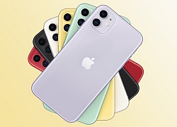 iPhone 11 màu nào được 'săn lùng' nhiều nhất?