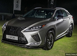 Lexus RX 2019 bản nâng cấp ra mắt công chúng