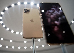 Nhu cầu iPhone 11 tốt hơn mong đợi, màu mới đang 'hot'