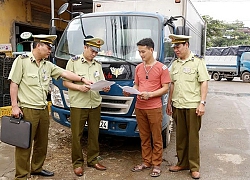 Tăng cường phòng, chống dịch bệnh trên cây trồng, vật nuôi