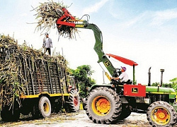 Tin kinh tế 6AM: Giá vàng chìm sâu, nhà đầu tư chịu lỗ tiền triệu