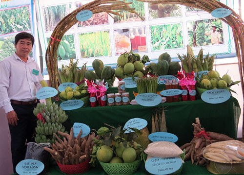 10 năm nông thôn mới: Phú Yên ngày càng văn minh, hiện đại