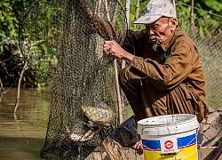 Anh hùng phi công Nguyễn Văn Bảy bị đột quỵ