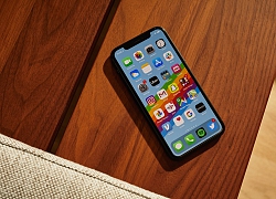 Apple sử dụng thành phần đất hiếm tái chế trên iPhone 11