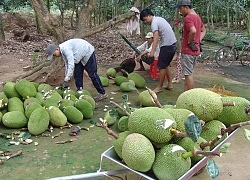 Cán bộ phải xuống thôn, ấp, xã, phường thường xuyên để nghe dân nói