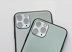 Đơn đặt hàng iPhone 11 Pro và Pro Max cao hơn 11