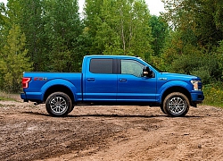 Ford Ranger và F-150 thêm gói nâng cấp off-road mạnh mẽ